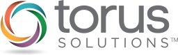 Torus Solutions